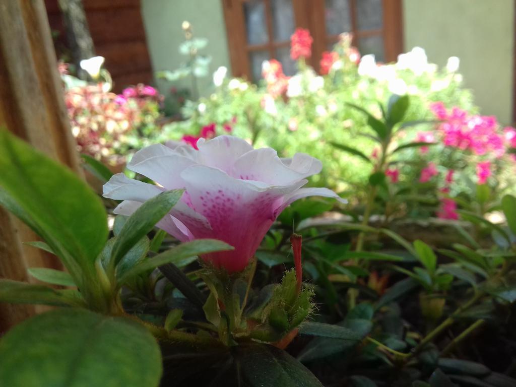 Moon Plain Inn Nuwara Eliya Luaran gambar